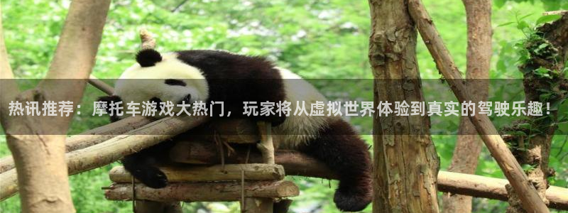 高德娱乐注册登录平台：热讯推荐：摩托车游戏大热门，玩家将从虚