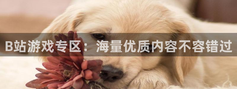 高德娱乐2登录：B站游戏专区：海量优质内容不容错过
