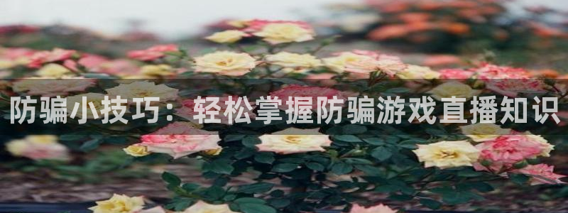 高德娱乐注册：防骗小技巧：轻松掌握防骗游戏直播知识
