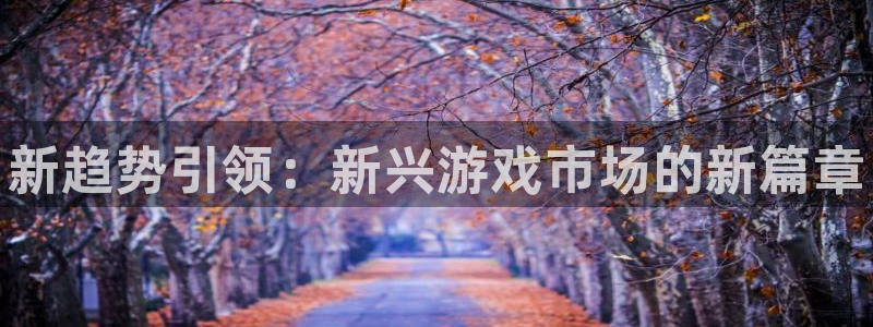 高德娱乐代理登陆：新趋势引领：新兴游戏市场的新篇章
