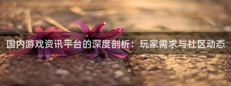 高德娱乐的意思：国内游戏资讯平台的深度剖析：玩家需求与社区动