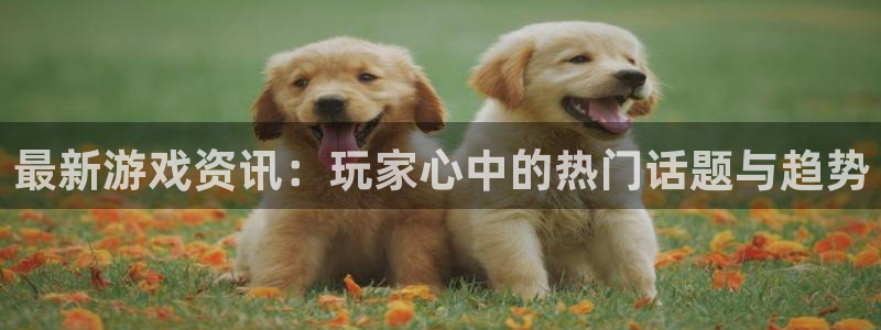 高德娱乐2登录：最新游戏资讯：玩家心中的热门话题与趋势