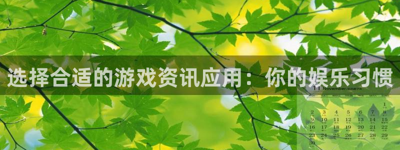高德娱乐注册平台：选择合适的游戏资讯应用：你的娱乐习惯